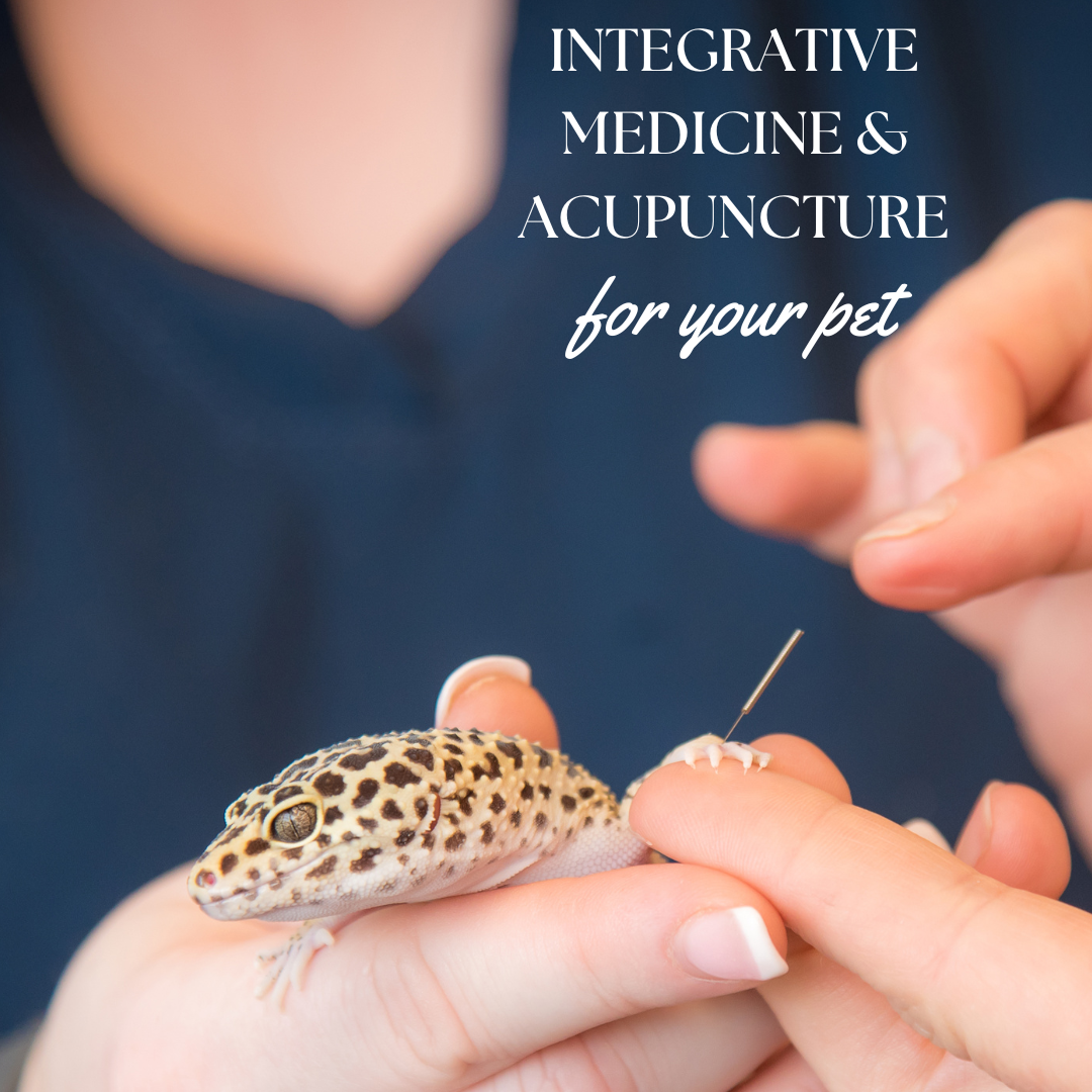 Healing Paws Veterinary Hospital Facebook ad: Integrative Medicine for Your Animals