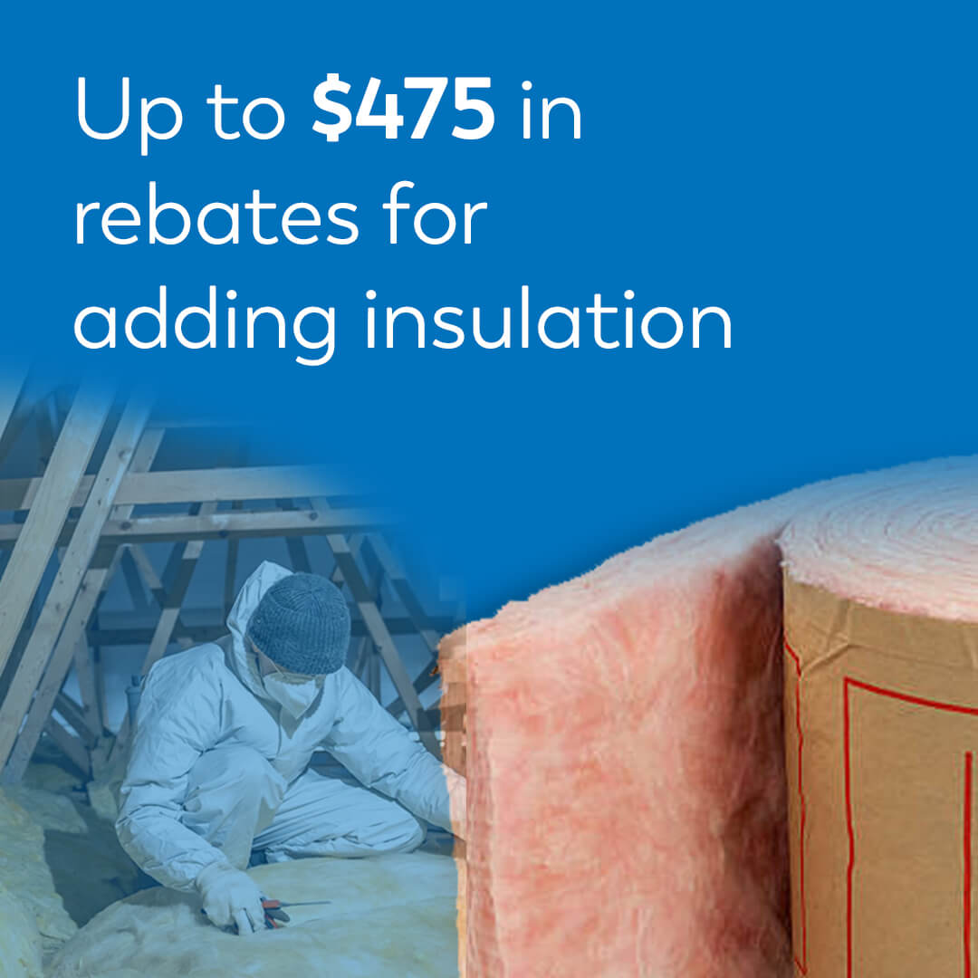 Consumers Energy Facebook ad: Lower your energy bill with our family of…