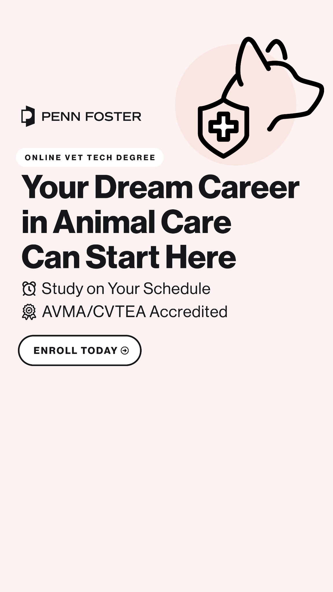 Penn Foster Facebook ad: Online Veterinary Tech Program