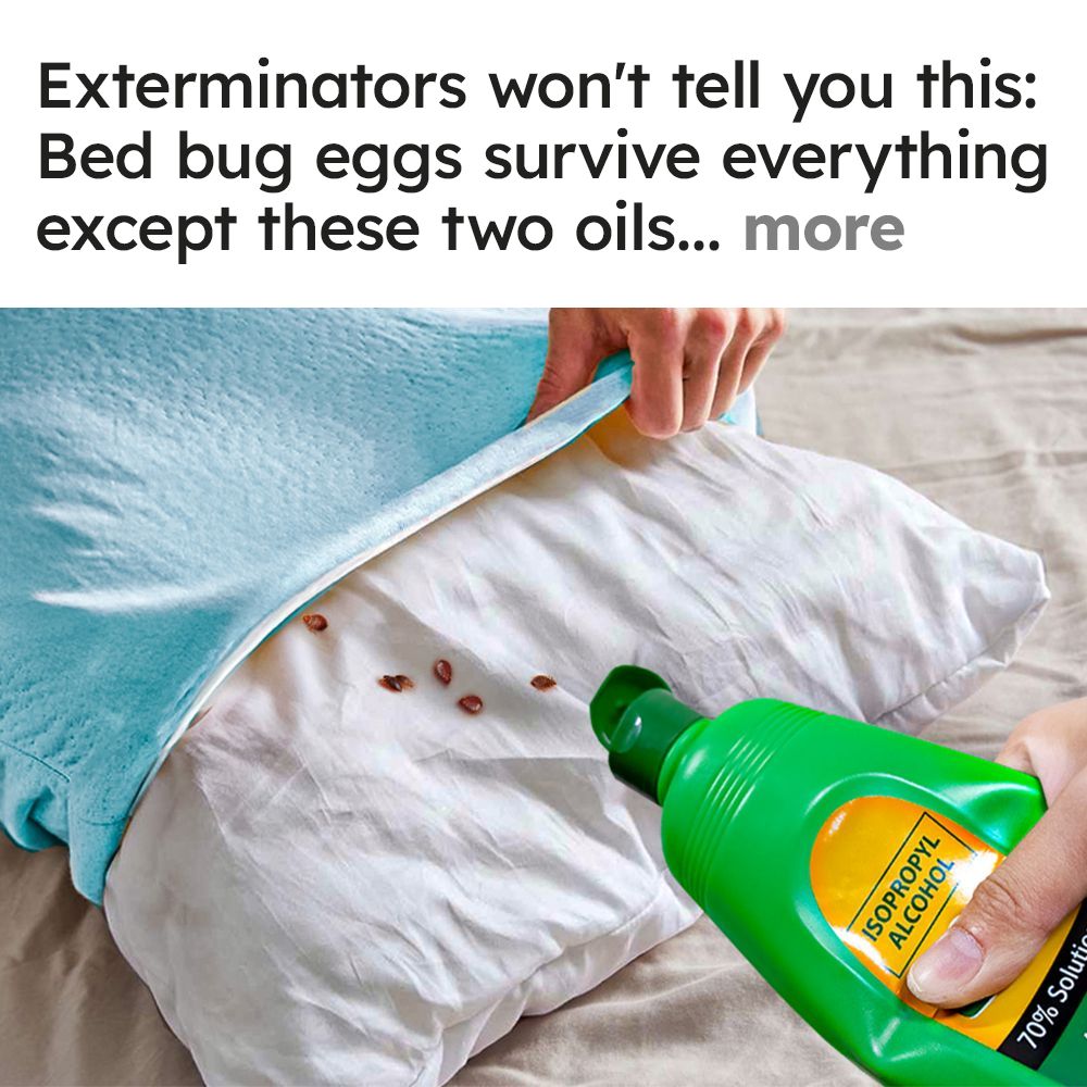 Ultimate Bed Bug Solution Facebook ad