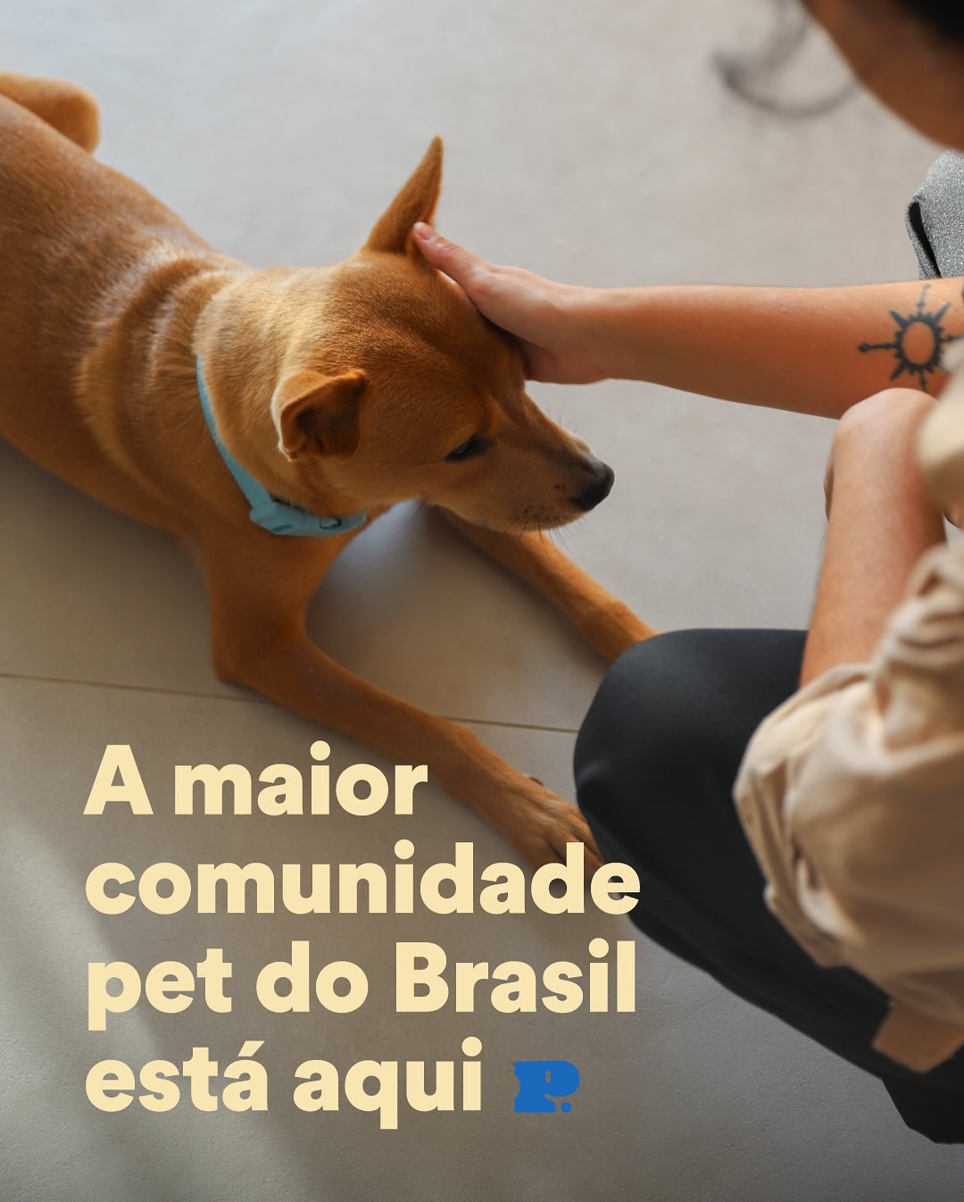 Petz Facebook ad