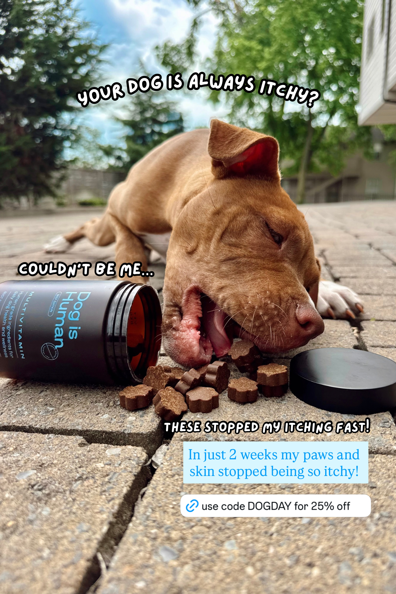 Dog is Human Facebook ad