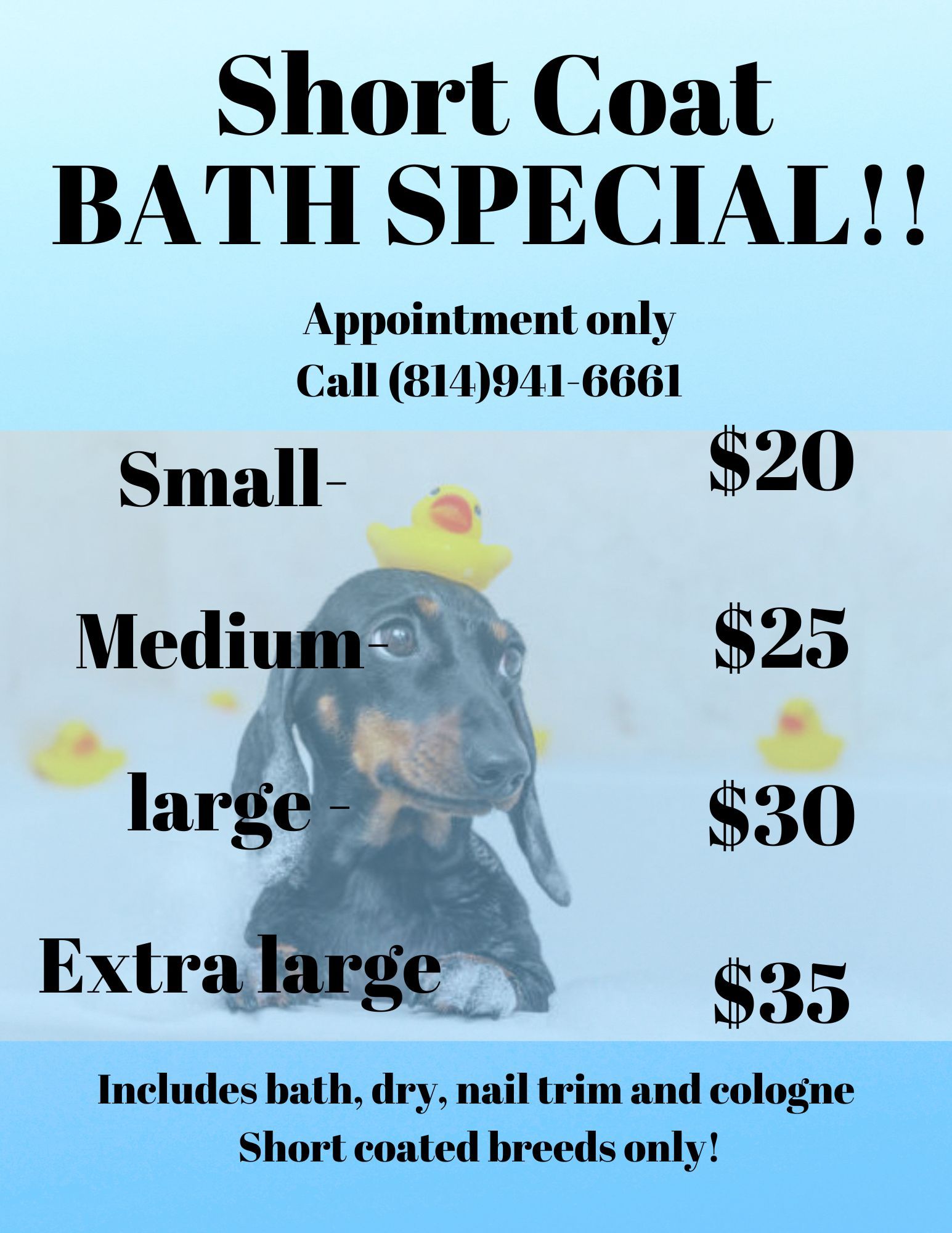 Fabulous Fido Facebook ad: Short-Coated Breeds Bath Special