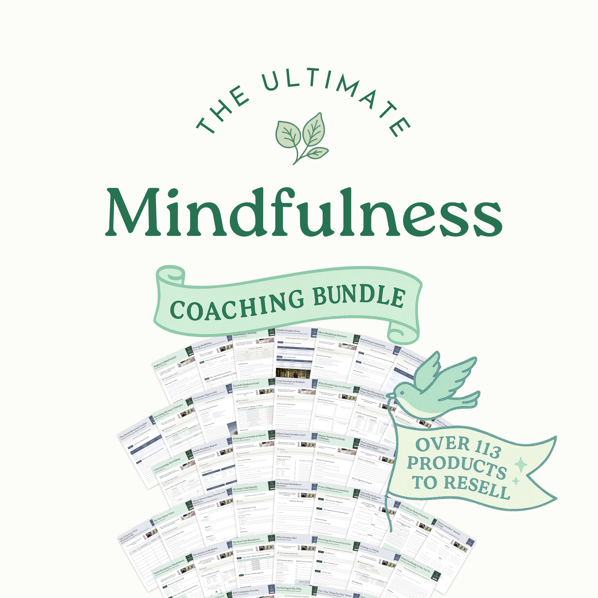 Evelyn Weiss Coaching Facebook ad