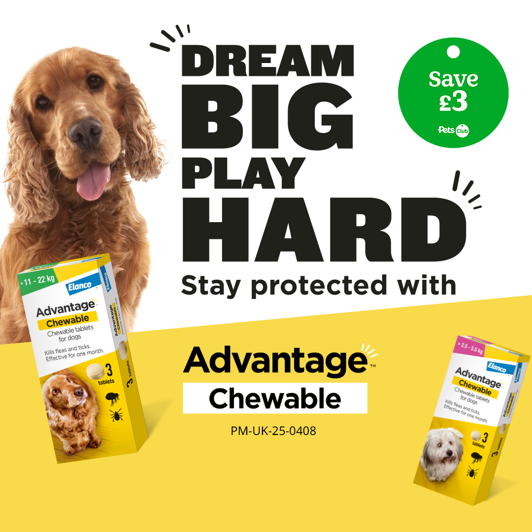 Pets UK Facebook ad