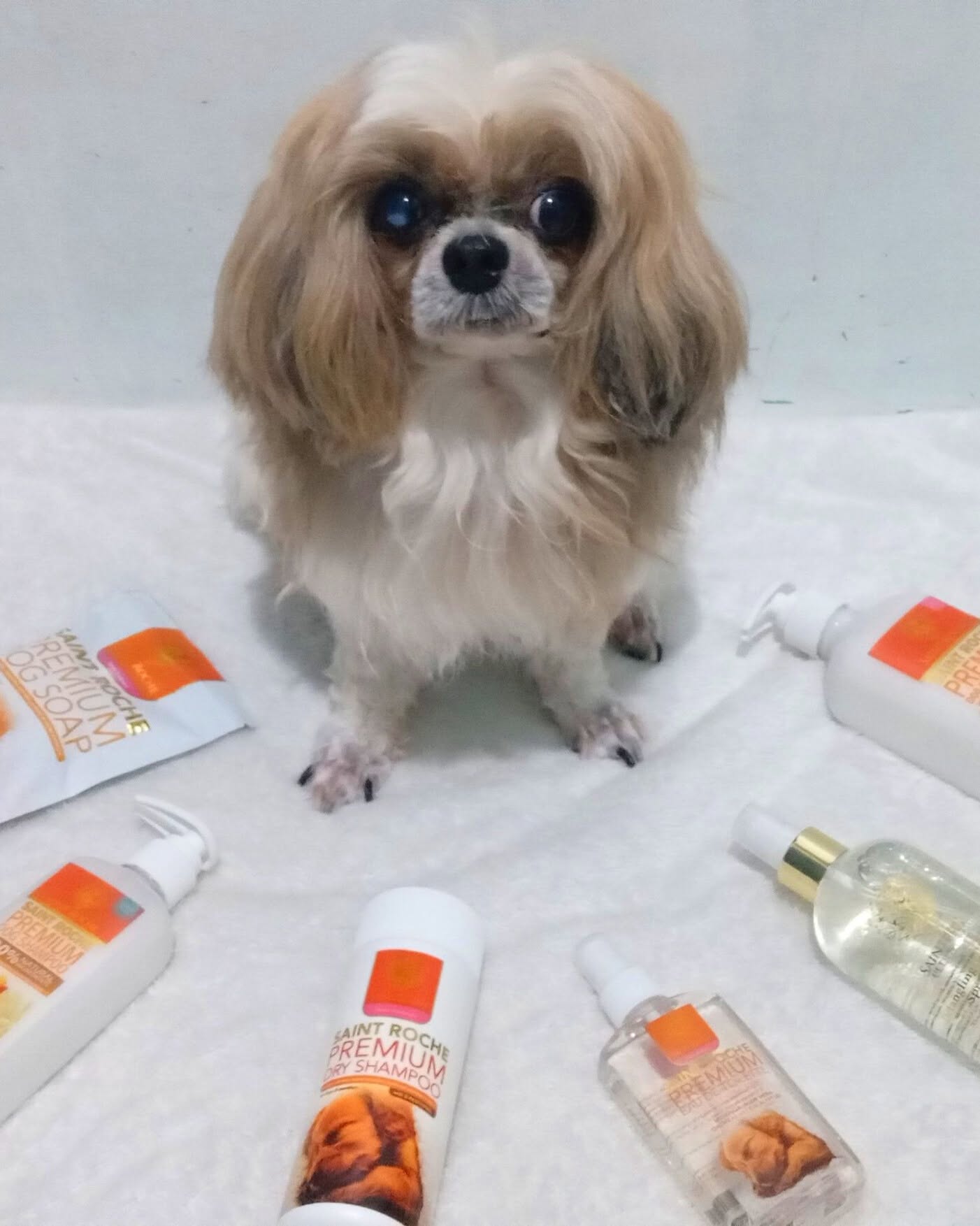 Saint Roche Premium Dog Shampoo Facebook ad