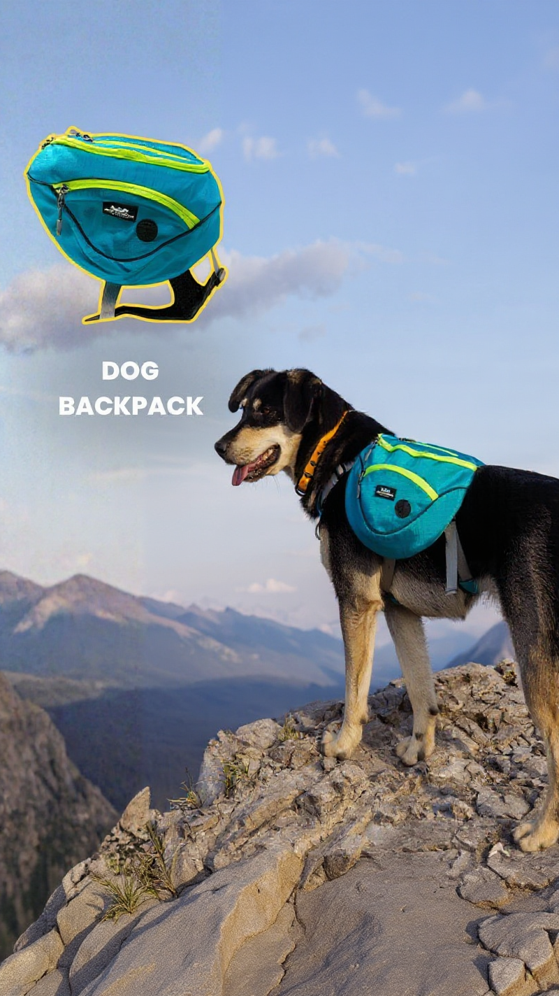 Rockymountaindog Facebook ad from Aug 10, 2026