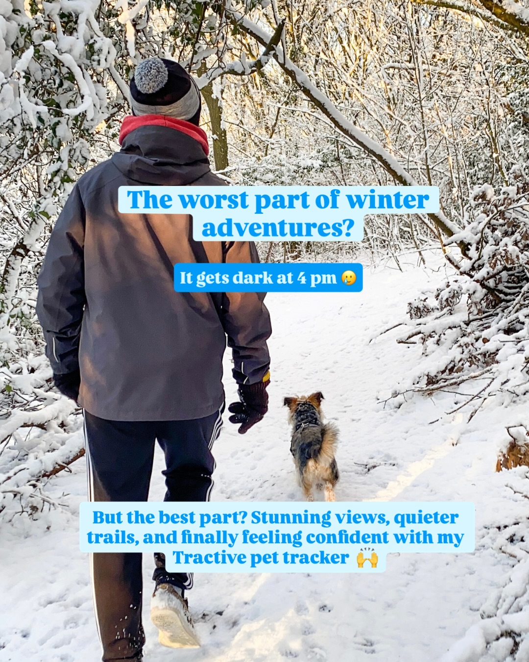 Great British Dog Walks Facebook ad