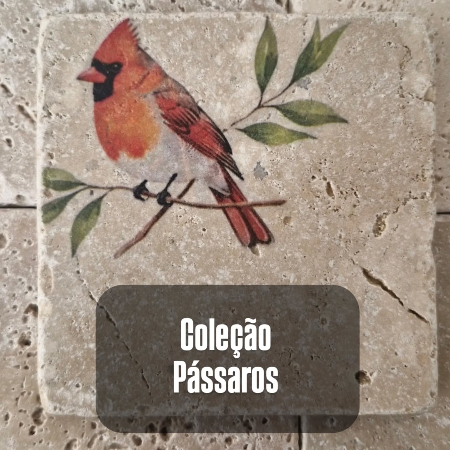 tidangaleartes Facebook ad: COLEÇÃO PÁSSAROS