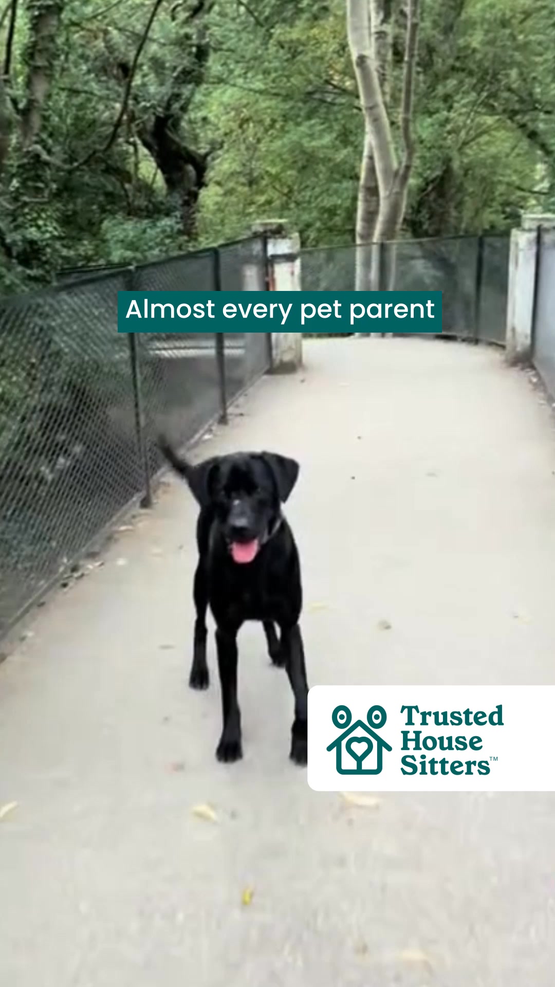 TrustedHousesitters Facebook ad from Apr 29, 2026