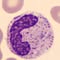 Laboratory medicine