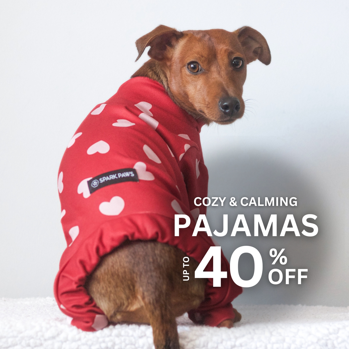 Spark Paws Facebook ad
