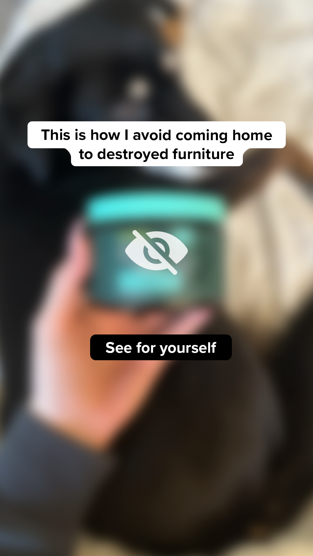 PetHelpful Facebook ad