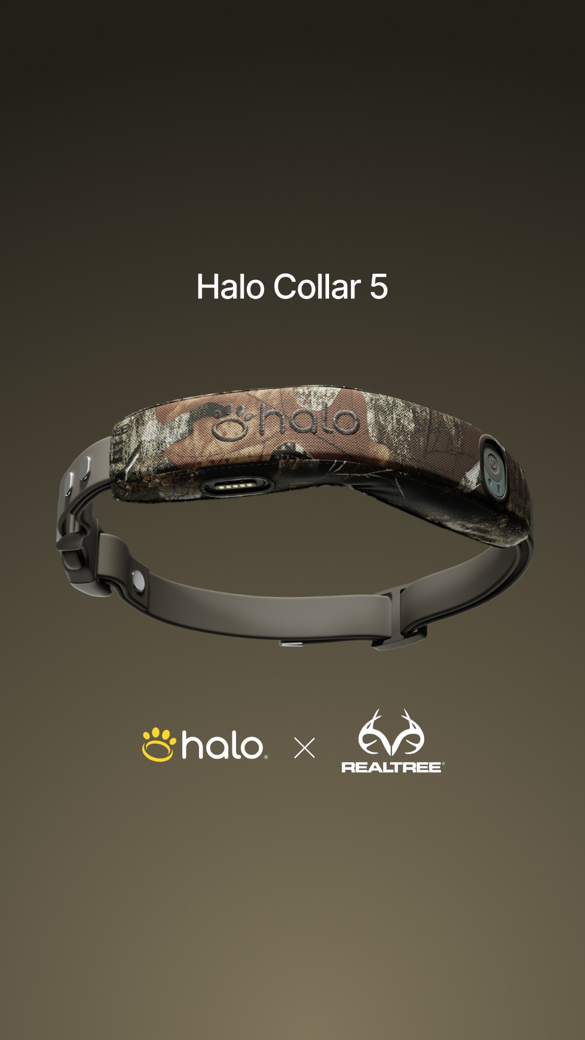 Halo Collar Facebook ad