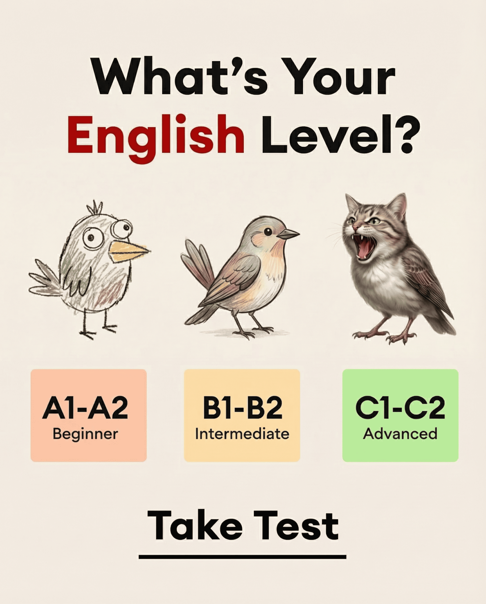 EWA: Learn Languages Facebook ad