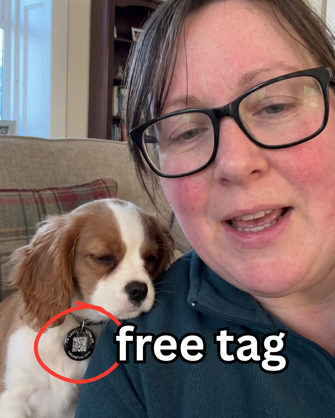 Pet Lifehacks Facebook ad