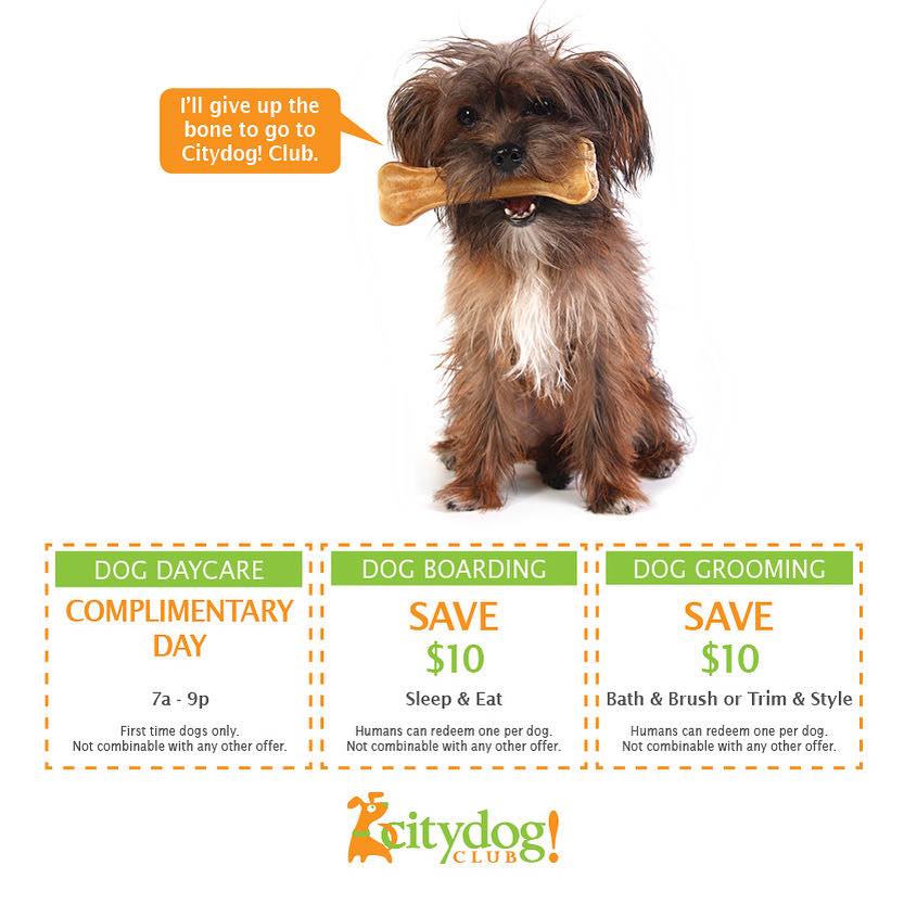 Citydog! Club Facebook ad: Citydog! Club, Dog Daycare, Dog Boarding, Dog Grooming and…