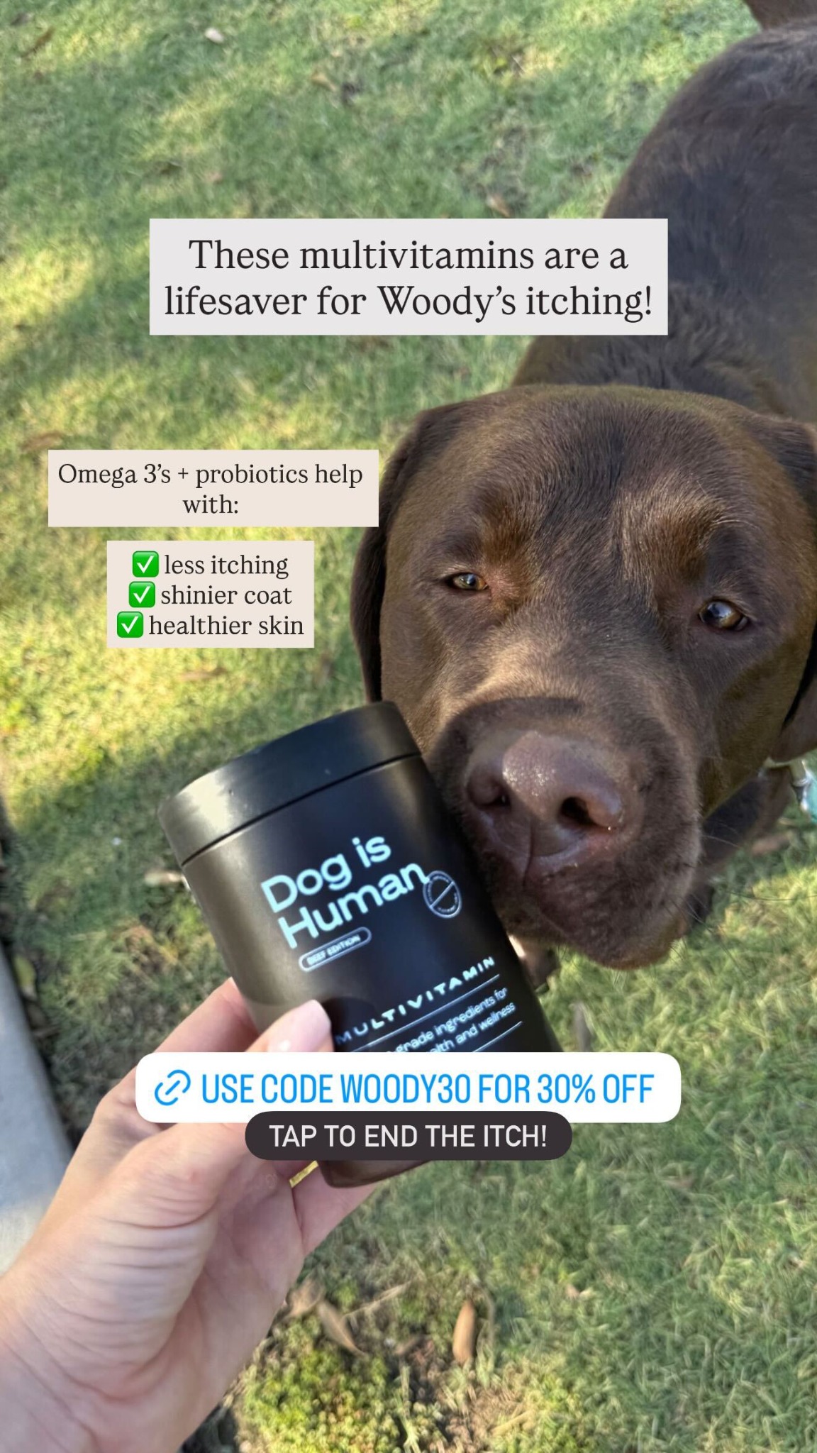 Dog is Human Facebook ad
