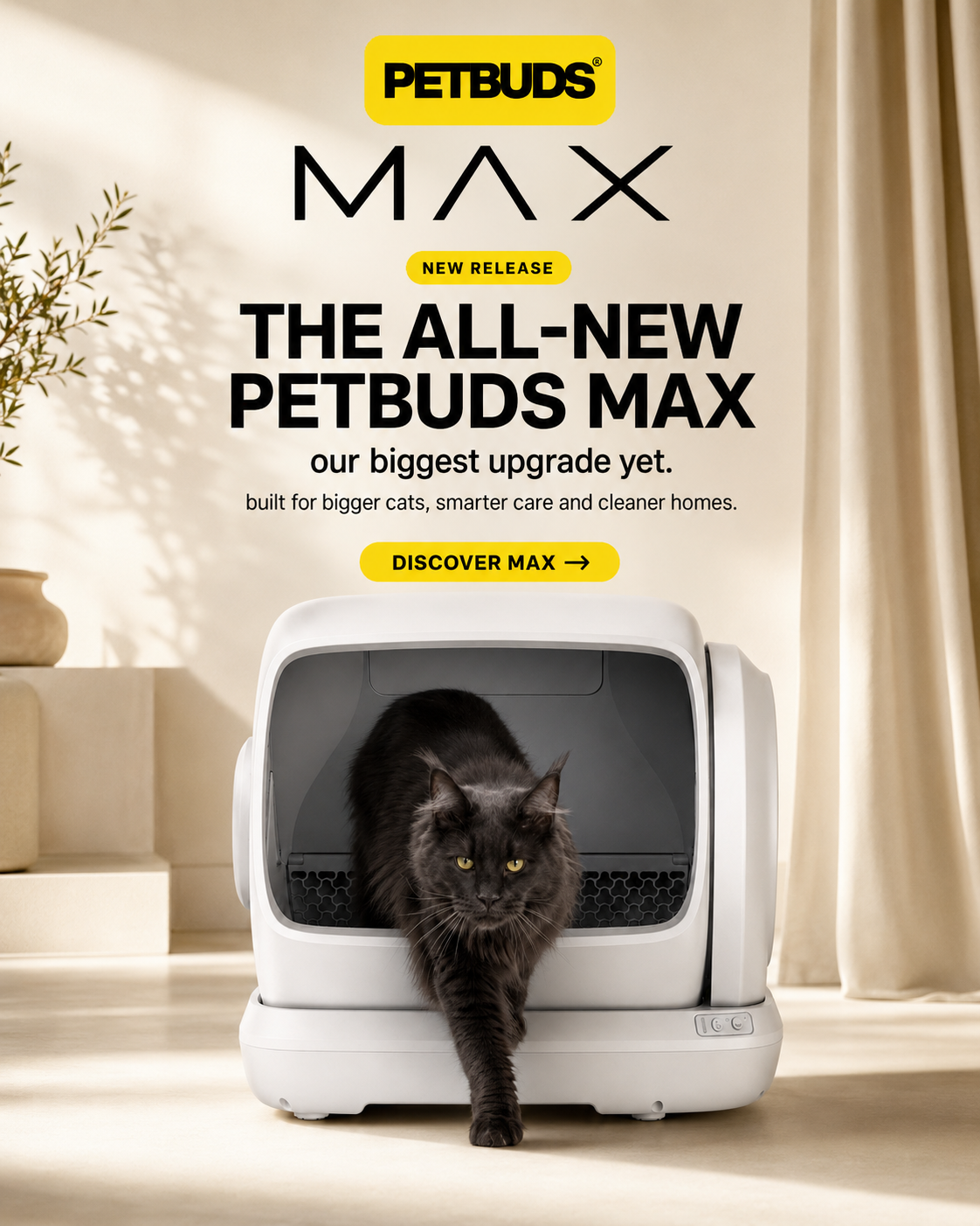 Petbuds Facebook ad