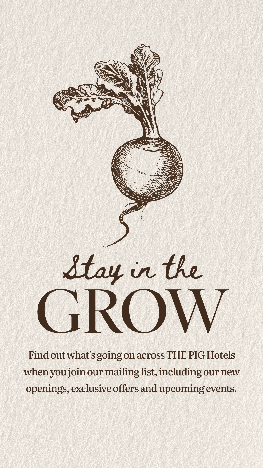 THE PIG Hotel Facebook ad