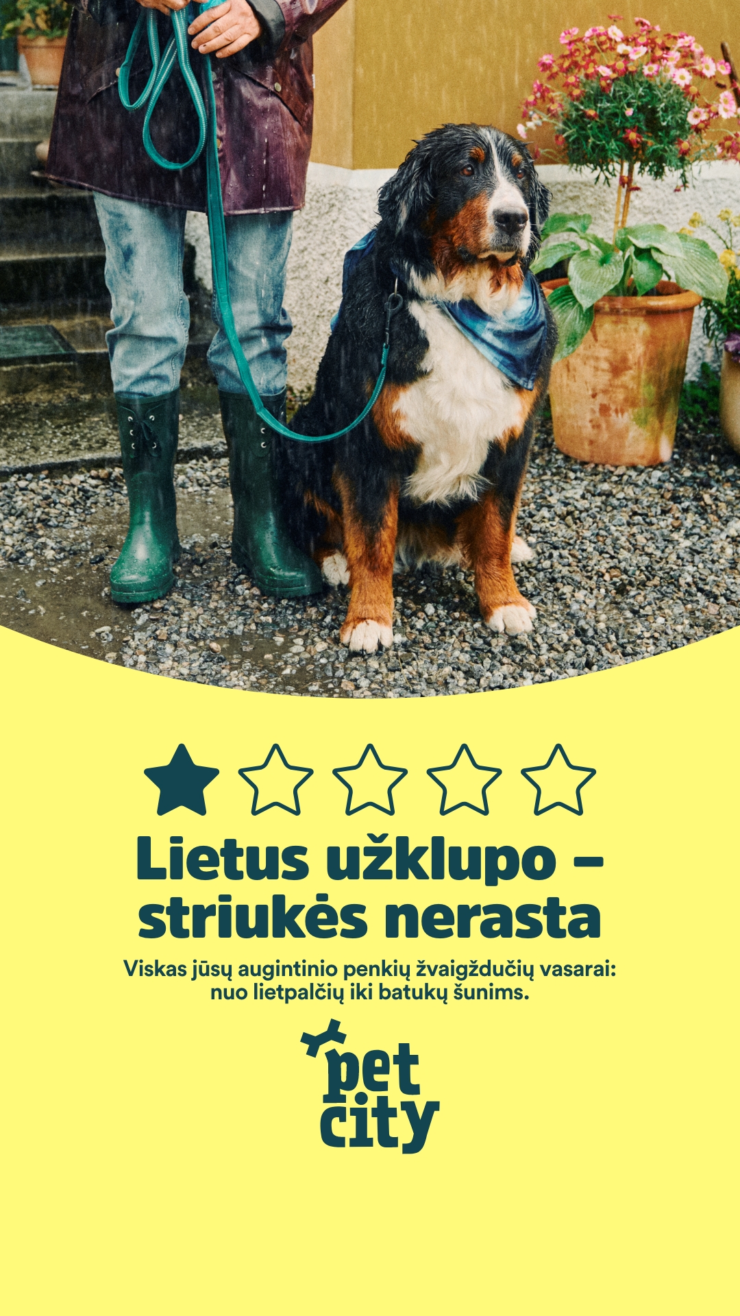 PetCity Lietuva Facebook ad