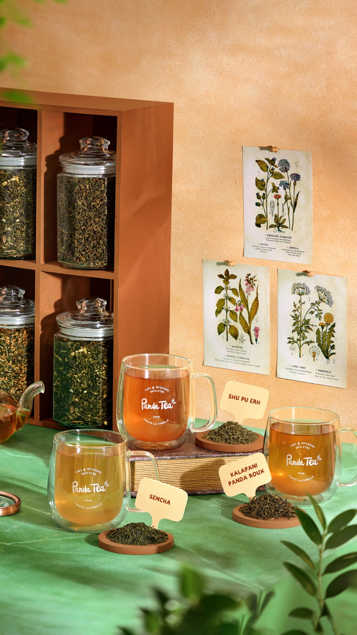 Panda Tea Facebook ad