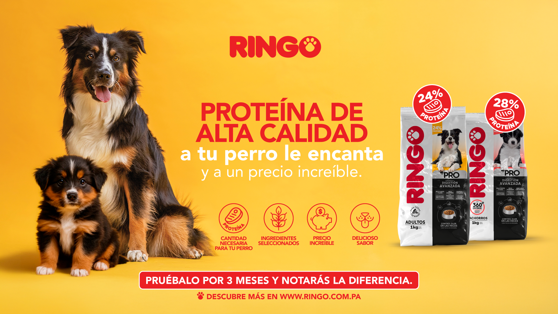 EfectoRingo Facebook ad