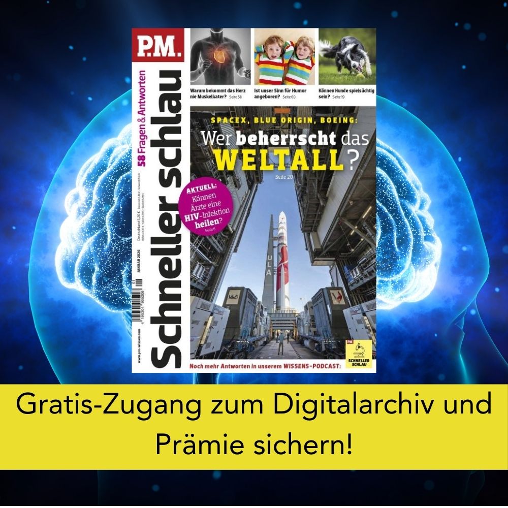 P.M. Facebook ad