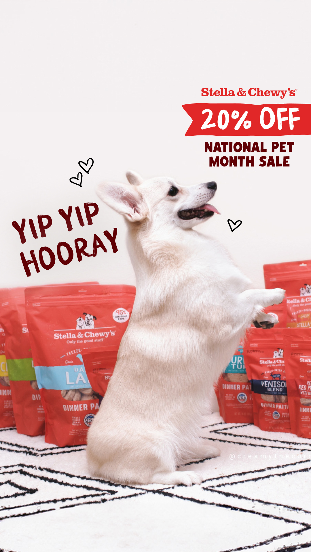 Stella & Chewy's Facebook ad
