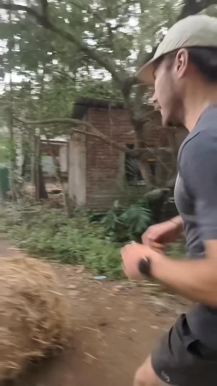 Vaksana Farms Facebook ad: Follow https://www.instagram.com/vaksanafarms for more…