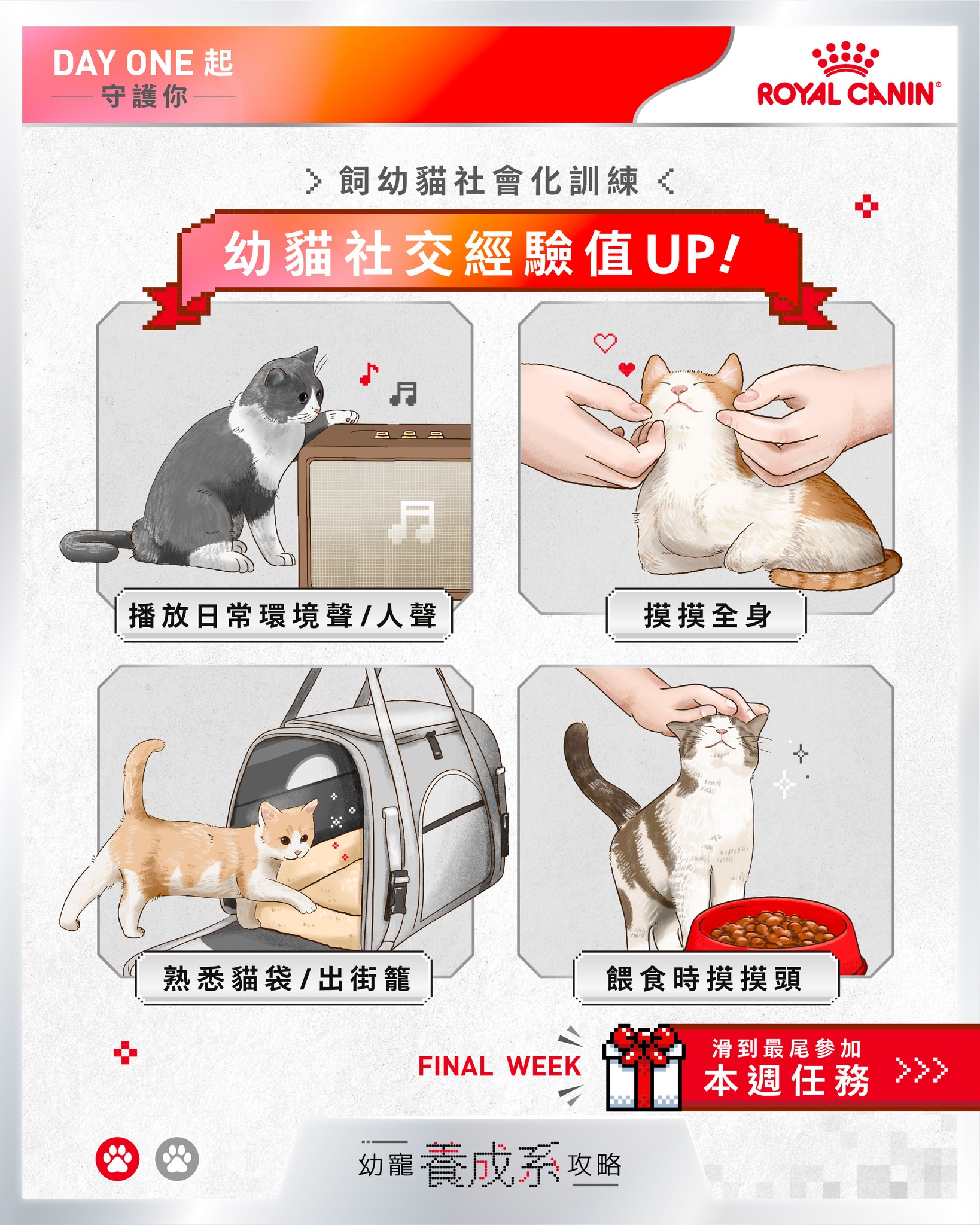 Royal Canin HK Facebook ad: 【幼寵養成系攻略 3幼貓社交經驗值UP!】