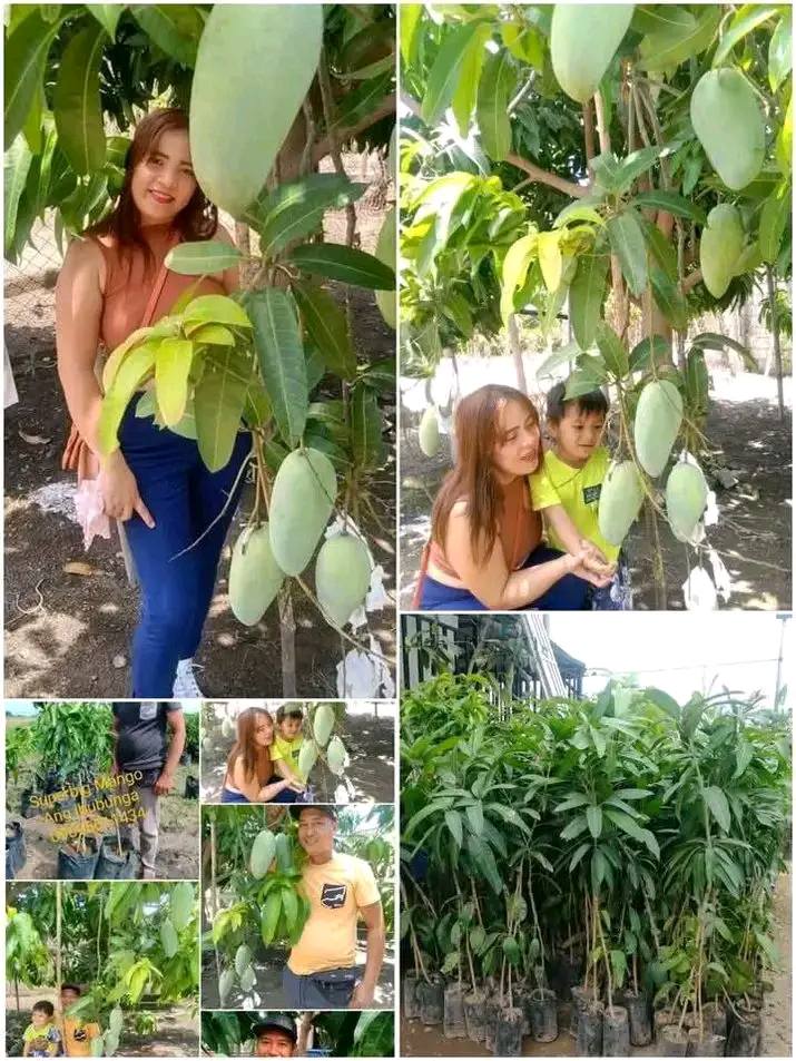 Nenita's Facebook ad: PTPA SLAMAT PO