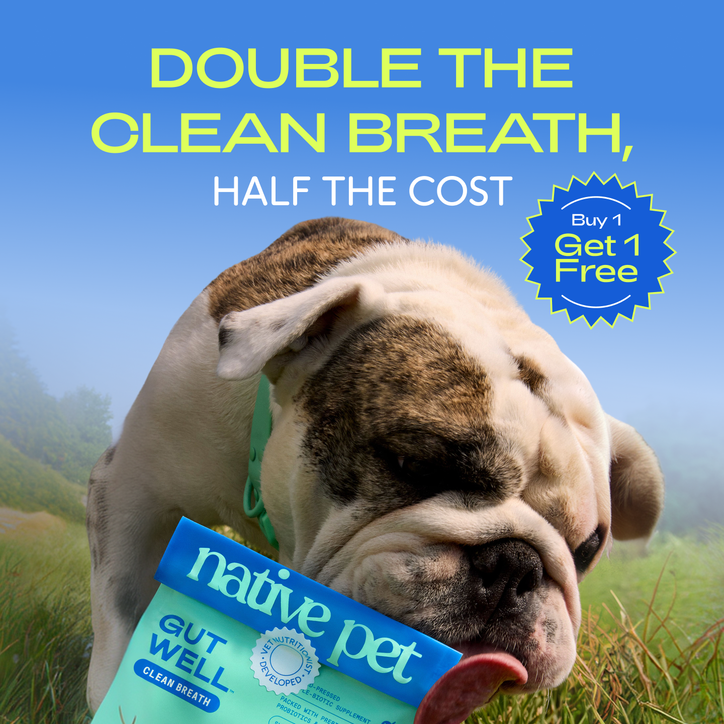 Native Pet Facebook ad
