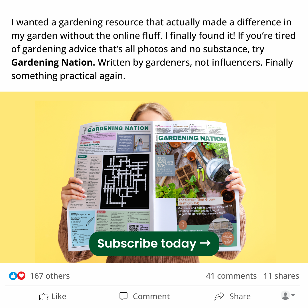 The Kindness Company Facebook ad
