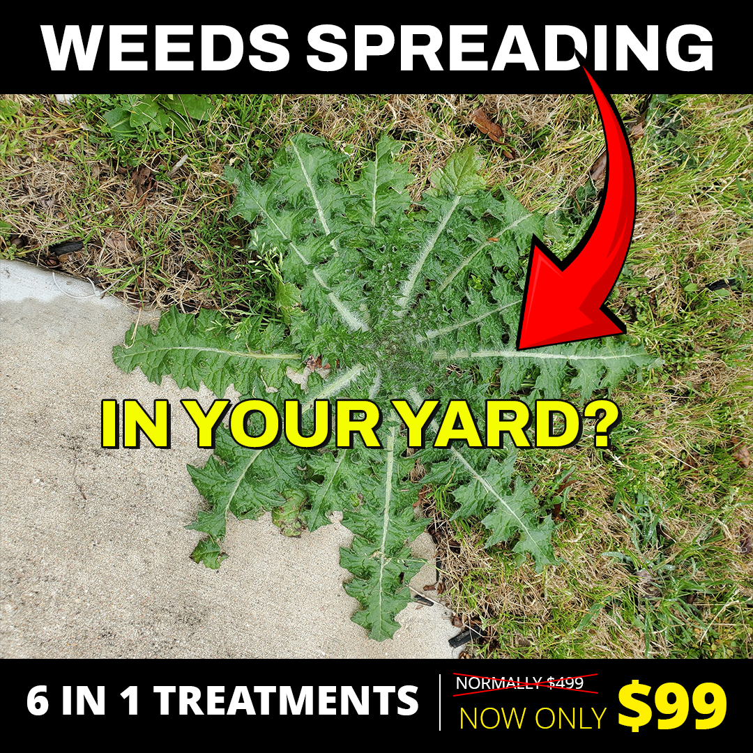 Liquid Lawn Facebook ad