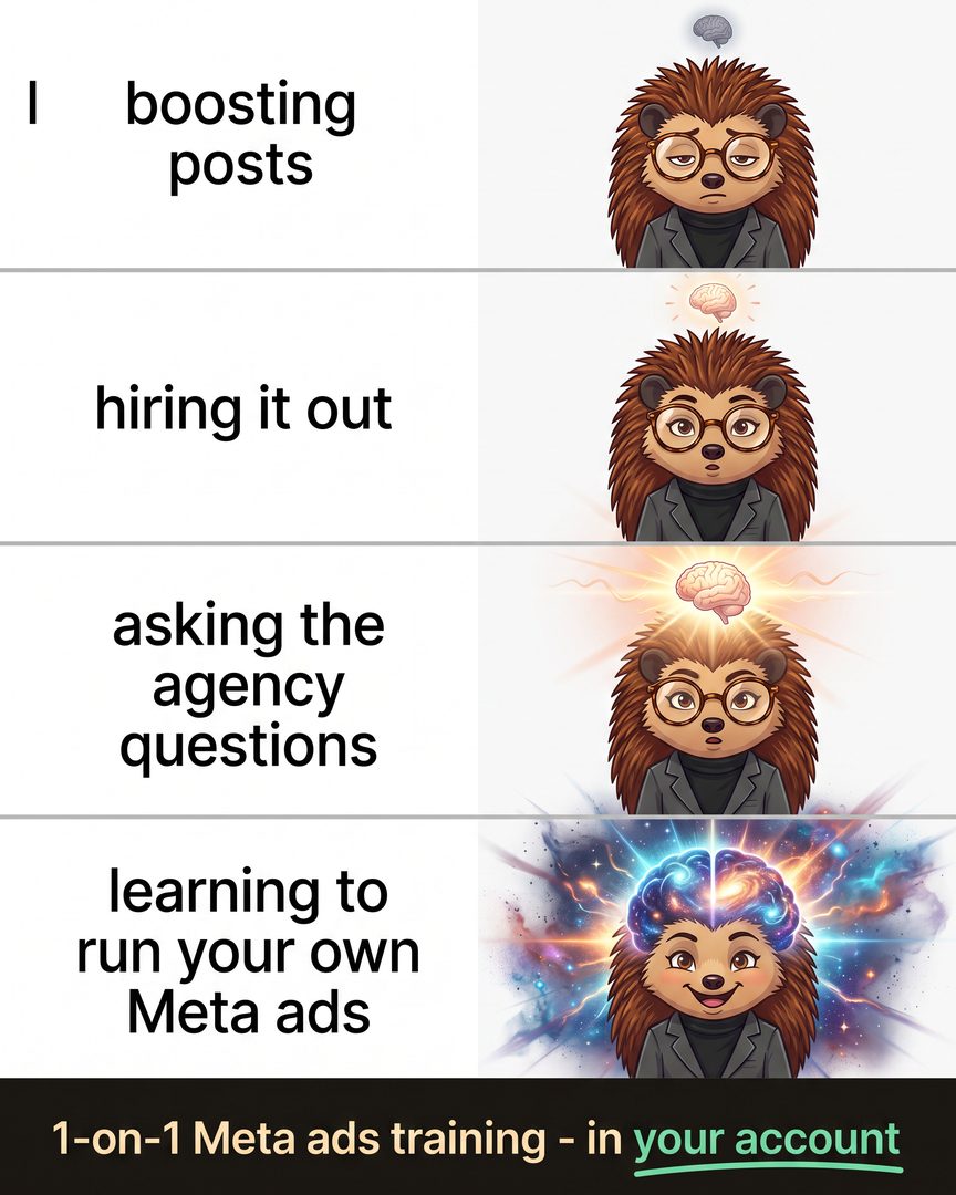 Hedgehog Facebook ad