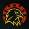 Poker Hawk