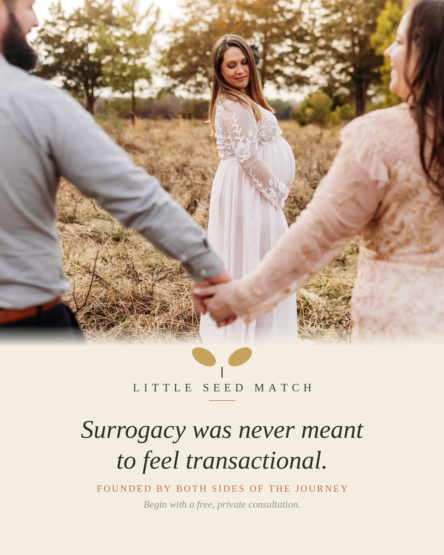 Little Seed Match Facebook ad