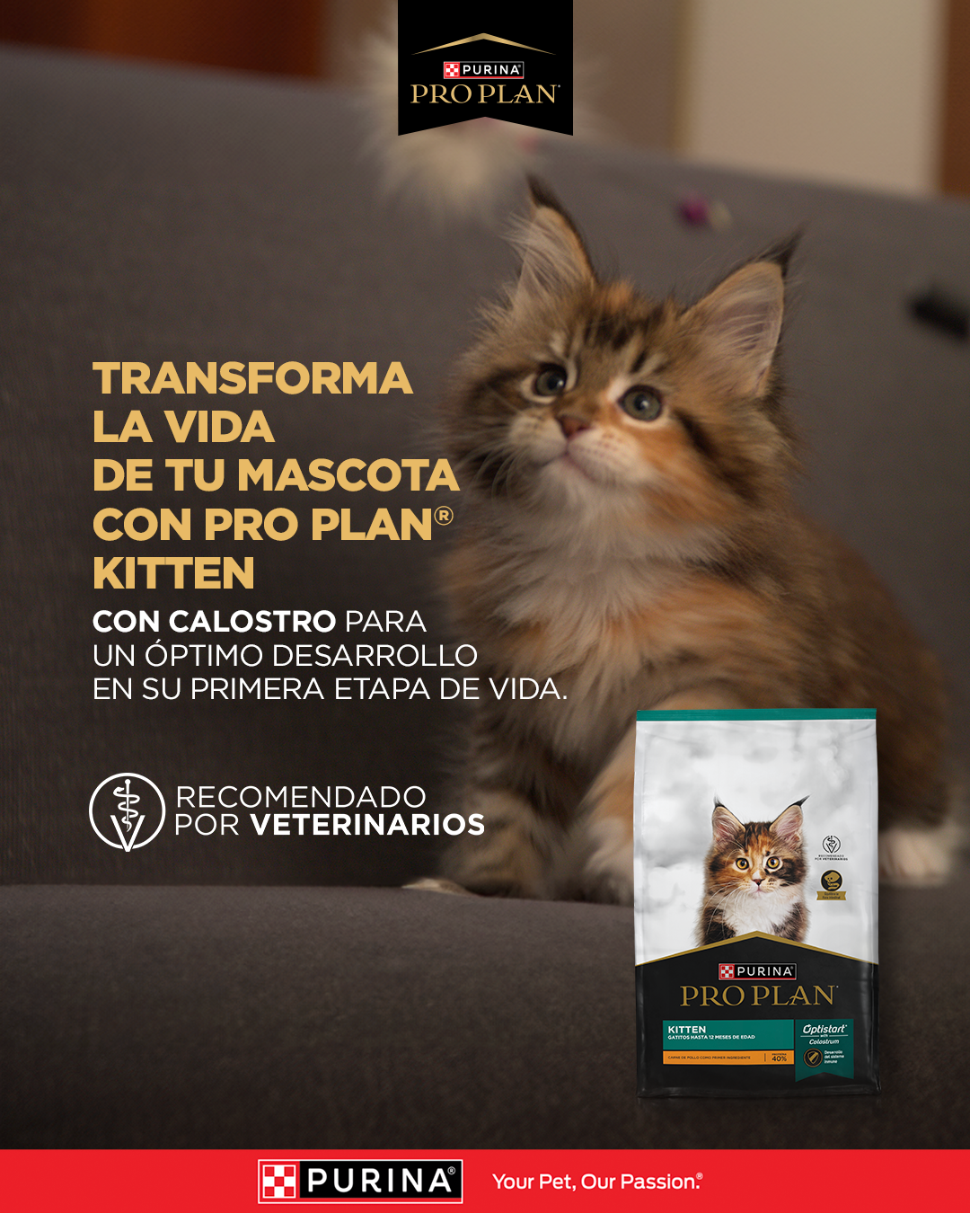 Purina Pro Plan Facebook ad