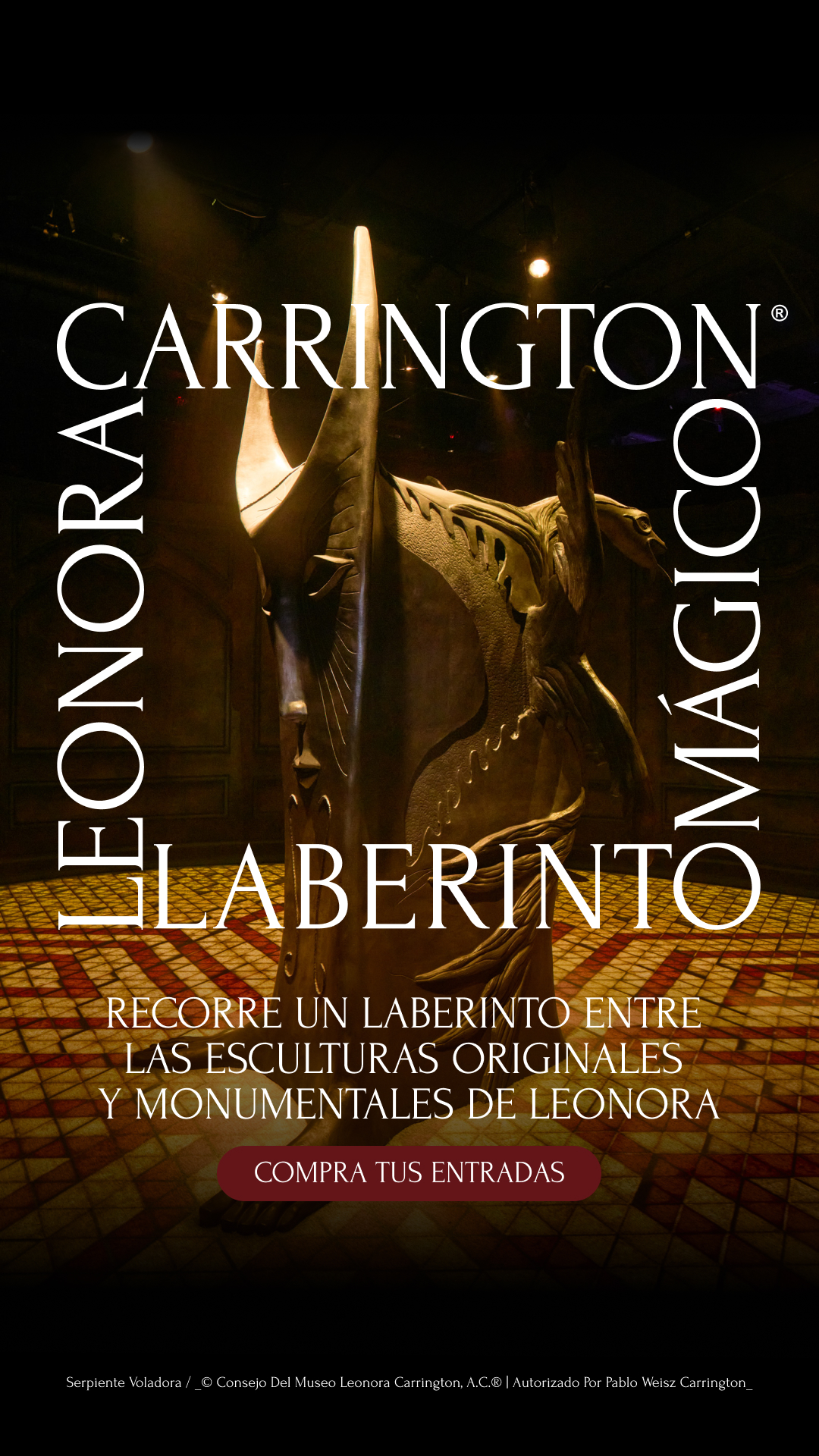 Laberinto Mágico Facebook ad from Jun 18, 2026
