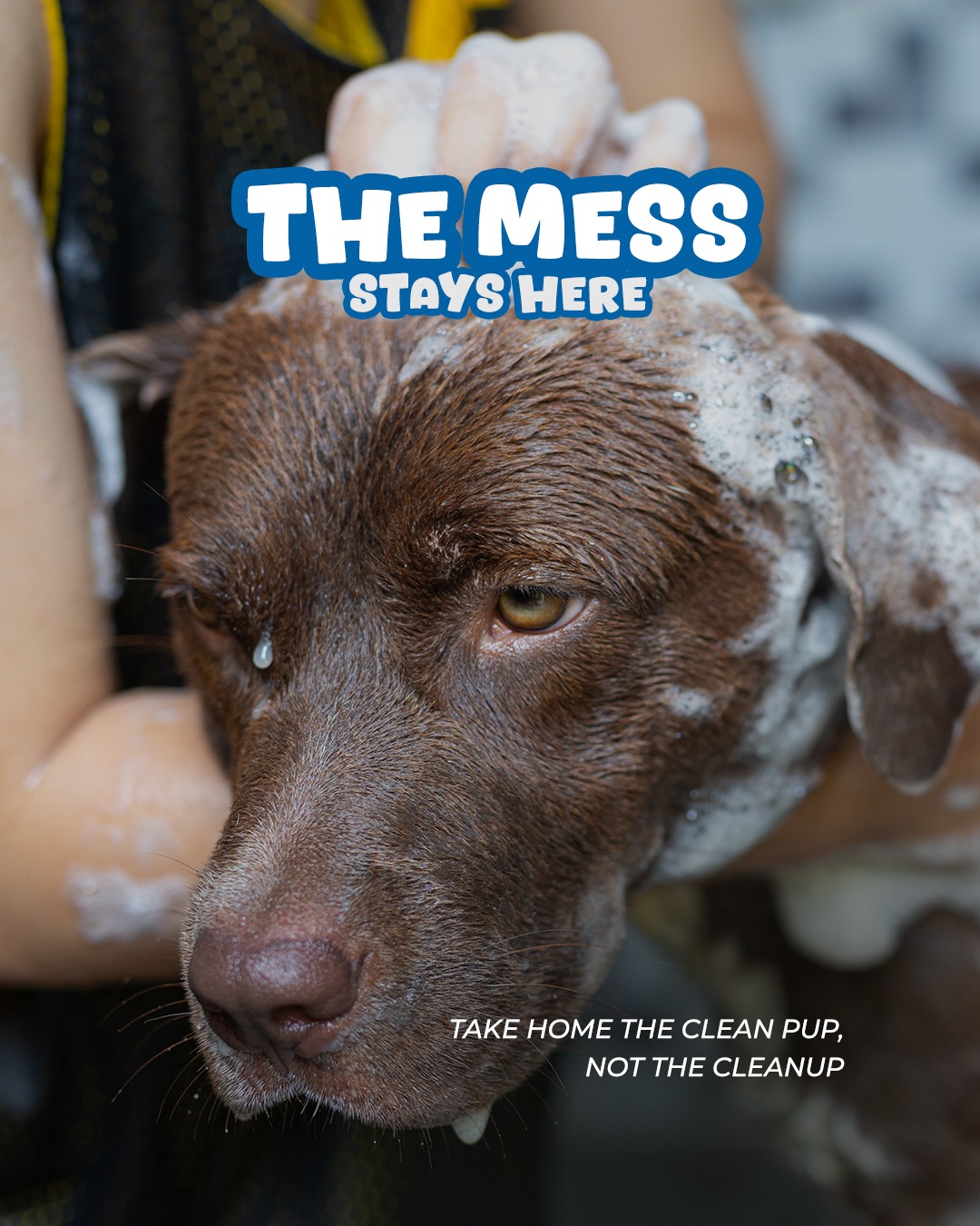 Canine Scrub Club Facebook ad: Canine | Scrub Club
