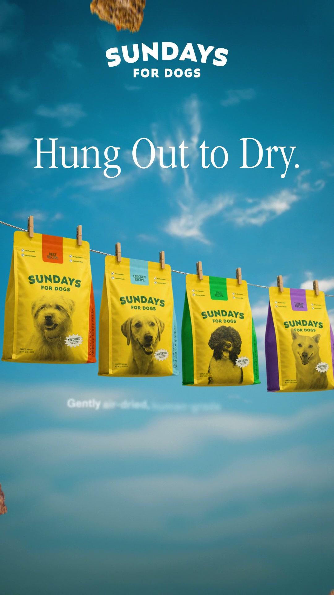 Sundays Facebook ad: Sundays Air-Dried Food for Dogs