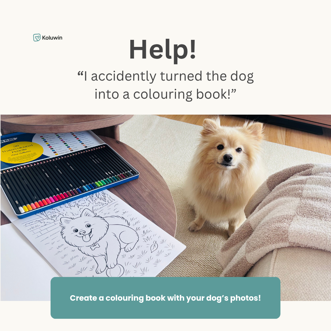 Koluwin Facebook ad: I Turned The Dog Into A Colouring Page