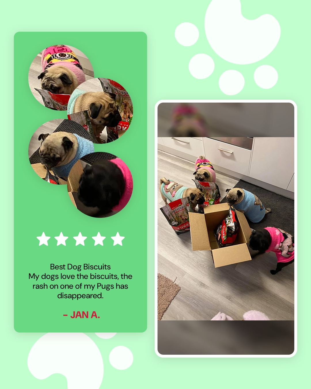 Pet Food Australia Facebook ad