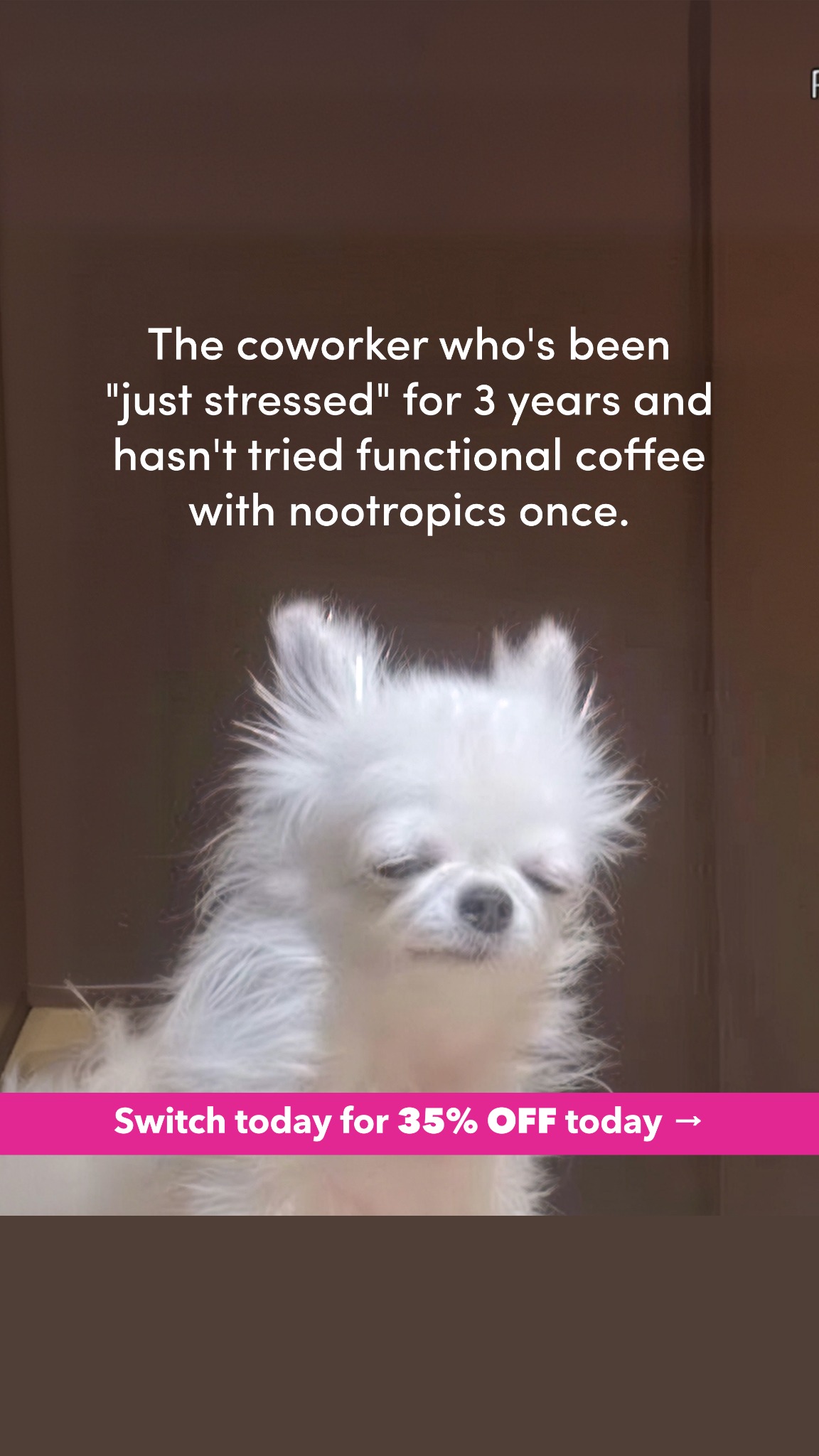 Everyday Dose Facebook ad