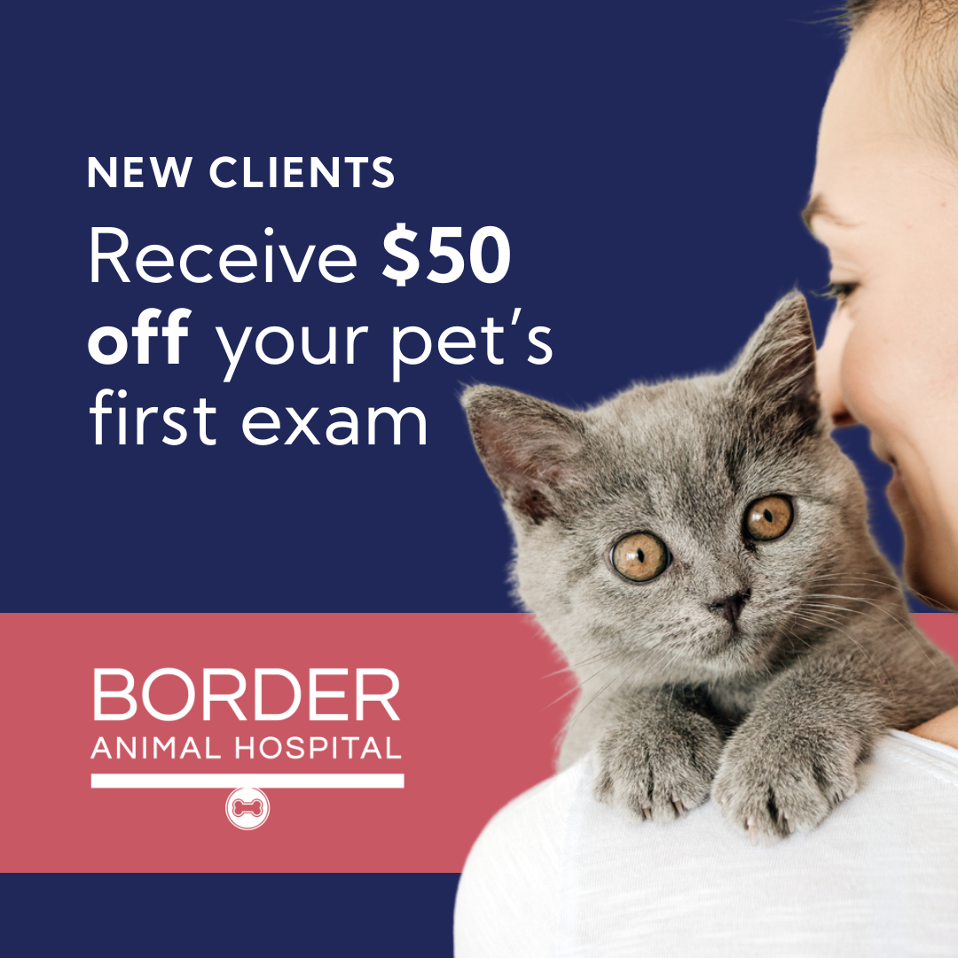 Border Animal Hospital Facebook ad