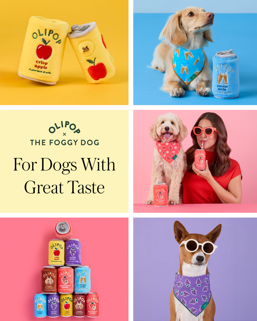 The Foggy Dog Facebook ad