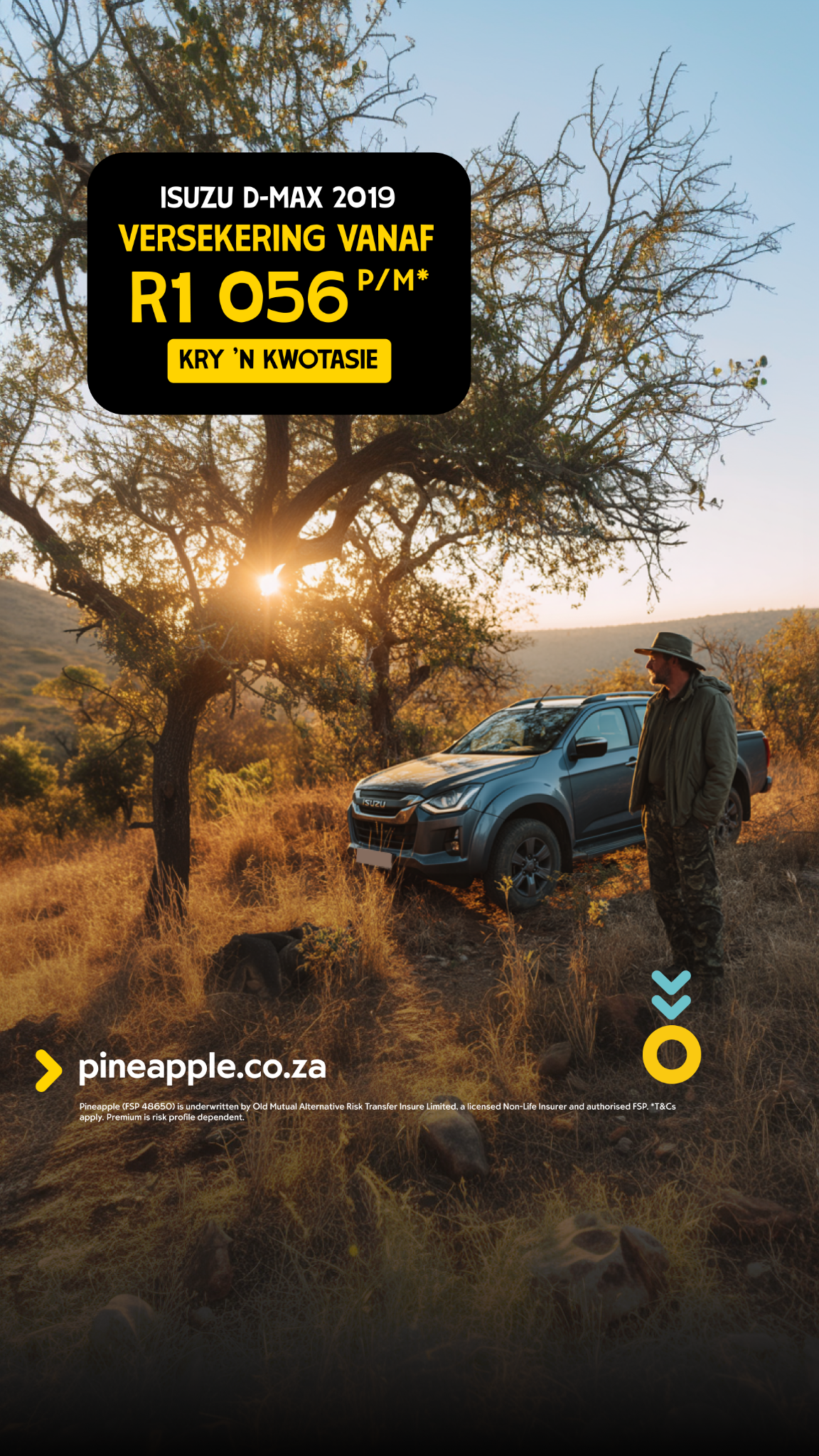 Pineapple Facebook ad