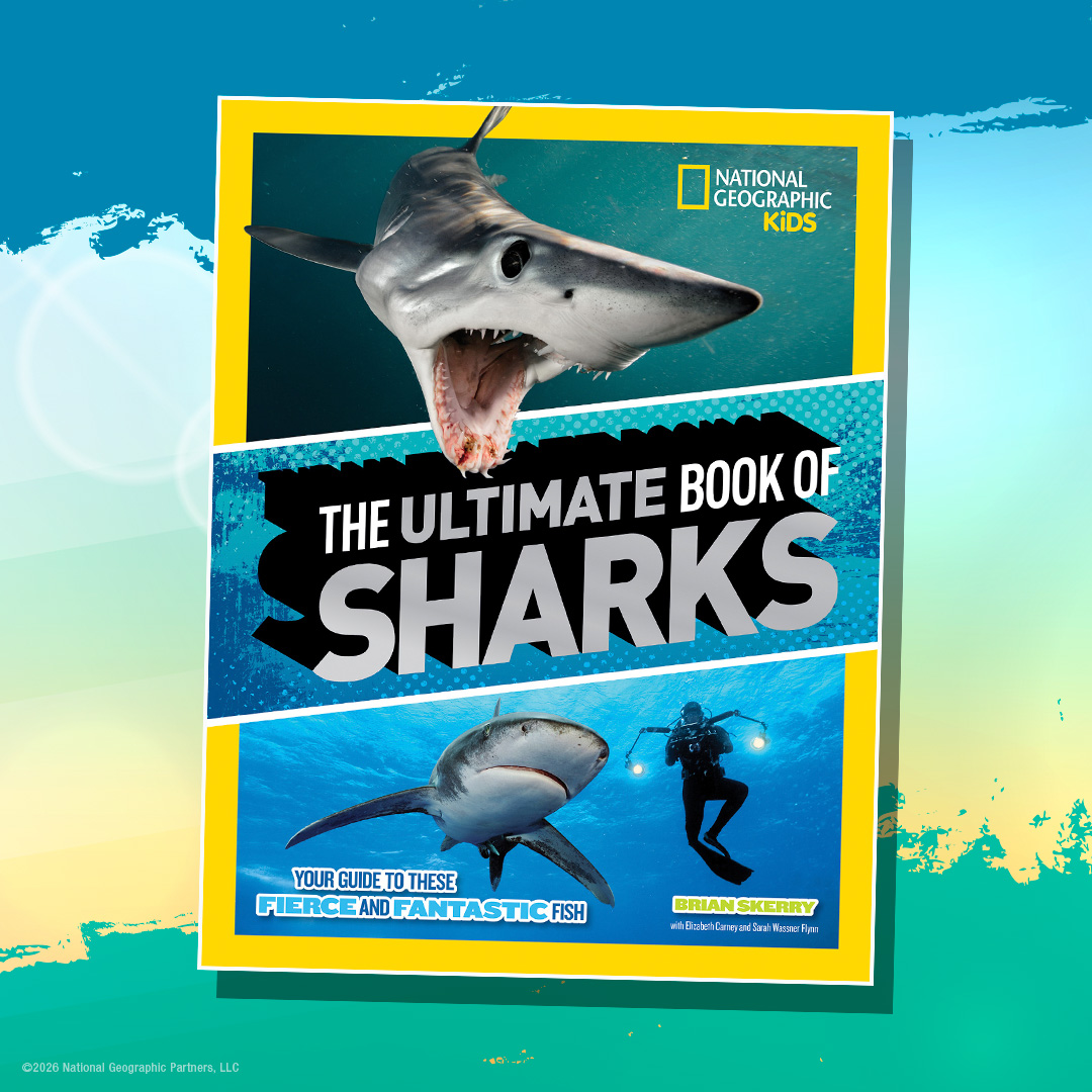 Random House Children's Books Facebook ad