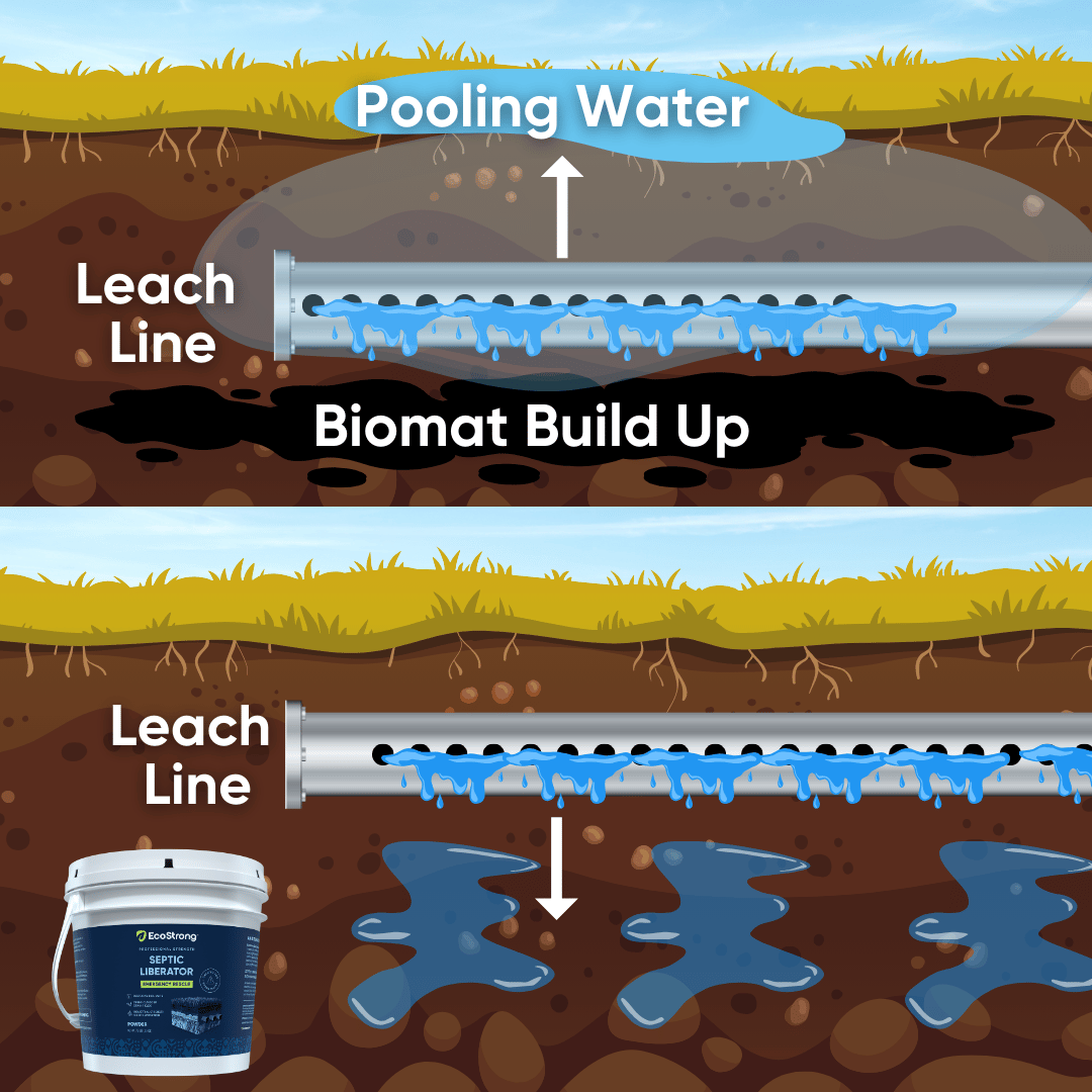 EcoStrong Facebook ad: Improve Septic Drainage Fast